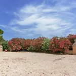 Masseria Specchiulla בית נופש