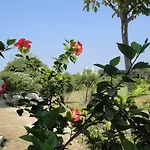 Masseria Specchiulla בית נופש *