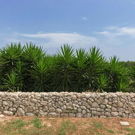 度假居 Masseria Specchiulla
