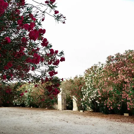 Masseria Specchiulla * אוטרנטו