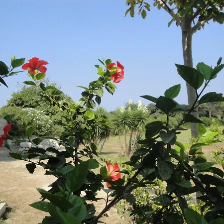 Masseria Specchiulla Ferienhaus *