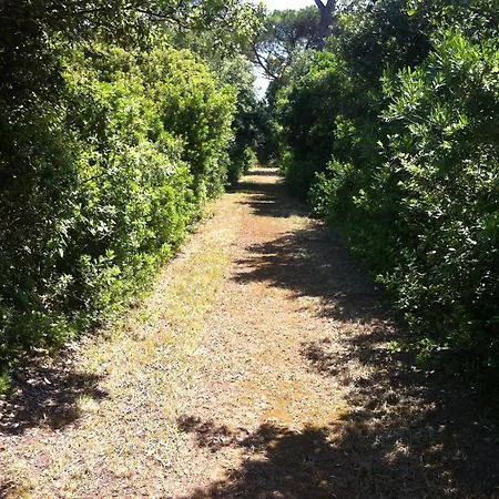 Masseria Specchiulla בית נופש