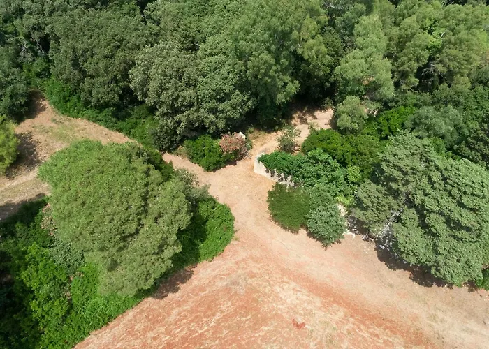 Masseria Specchiulla Vakantiehuis *