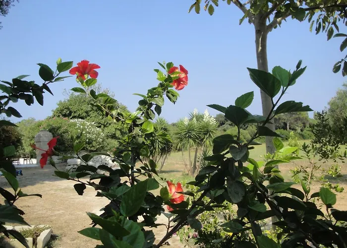 Masseria Specchiulla Vakantiehuis *