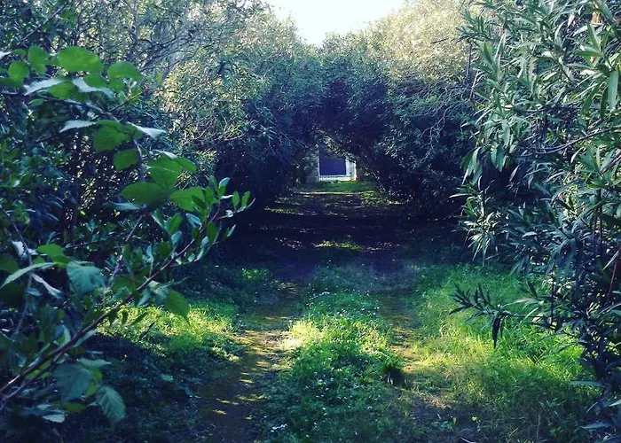 Masseria Specchiulla