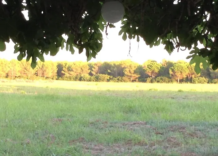 Masseria Specchiulla Vakantiehuis *